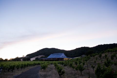 ridge vineyards