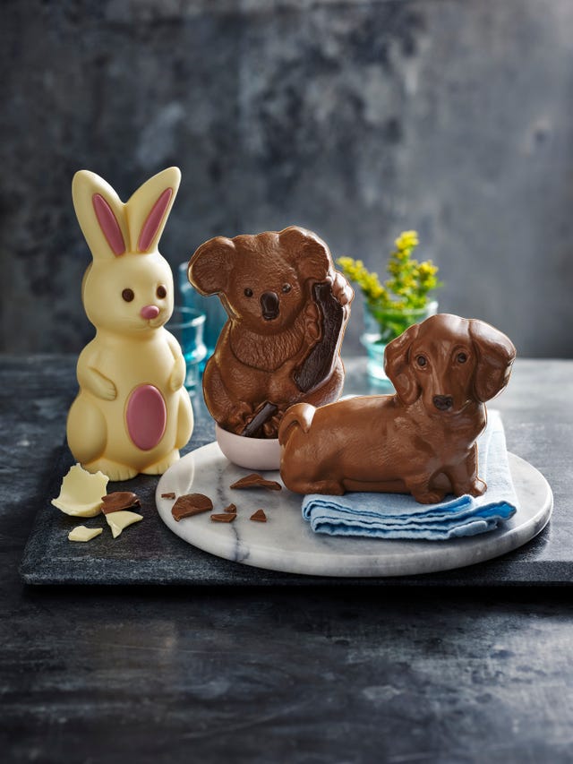 ms walter the sausage dog chocolate easter egg