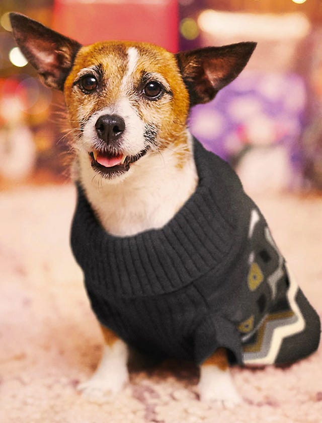 M&s Christmas jumpers