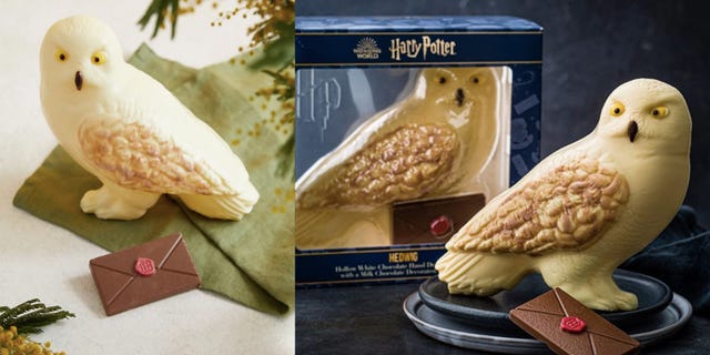 ms chocolate hedwig owl