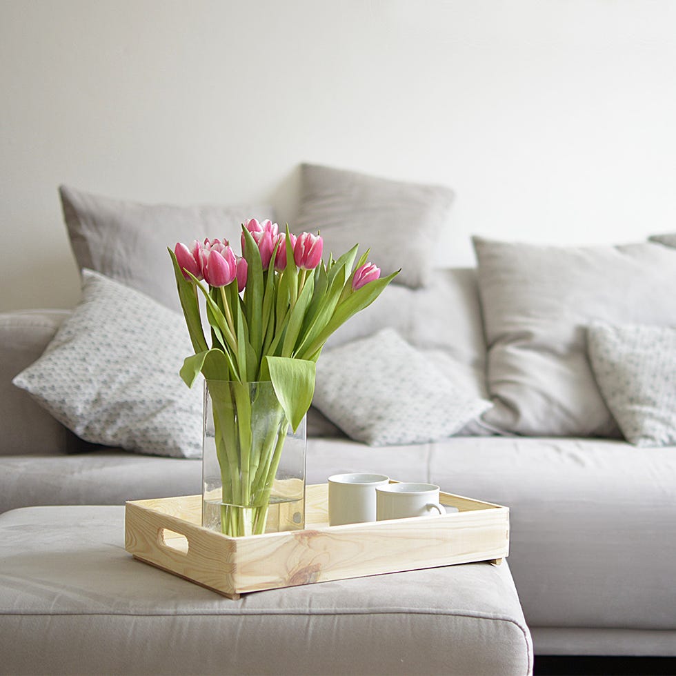 pink tulips in a glass vase