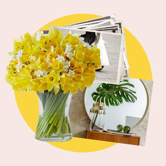 ms daffodils