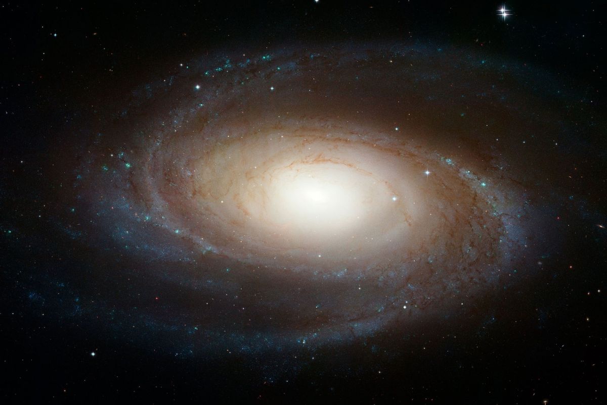 M81 is een van de helderste sterrenstelsels aan de nachtelijke hemel Een groep sterren in de buurt van dit sterrenstelsel die op 117 miljoen lichtjaar van de aarde staat bracht een verrassende flits van radiogolven voort waarover astronomen zich het hoofd breken