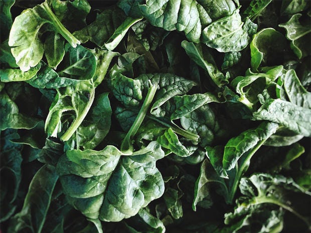 Cos'è la mandragora la pianta tossica negli spinaci velenosi
