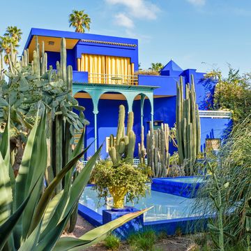 jardin majorelle garden marrakech morocco the blue house and pool surrounded by palm trees and cactus plants