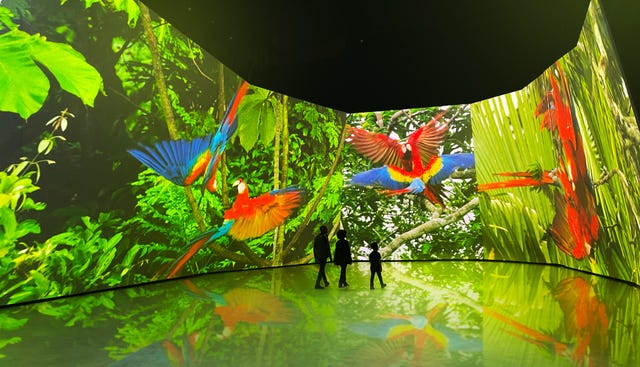 bbc earth experience