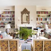 living room, built in bookshelves, indoor plants, white sofa