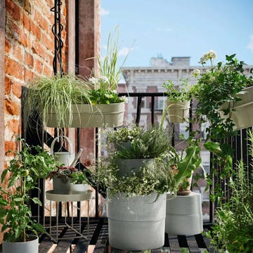 balcón con plantas
