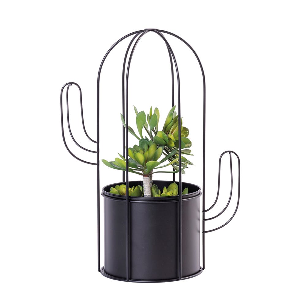 Maceta con forma de cactus
