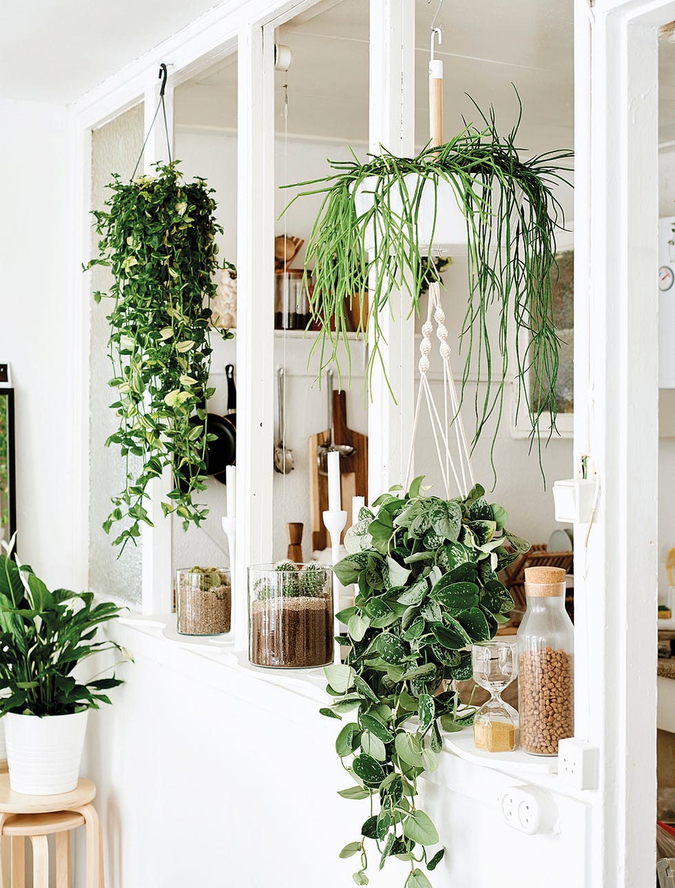 macetero macrame macetas ikea