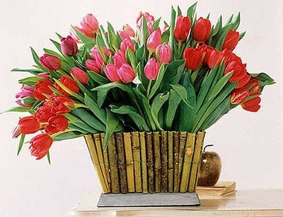 a vase with pink flowers