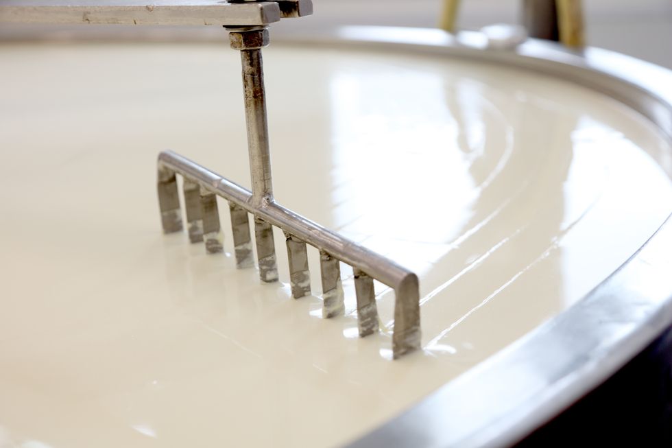 machine slicing through curdled cheese curds in vat