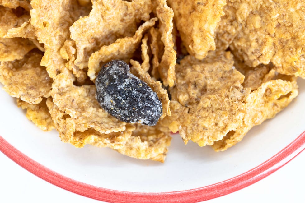 Macro of a bowl of corn flakes or cereal with raisins.