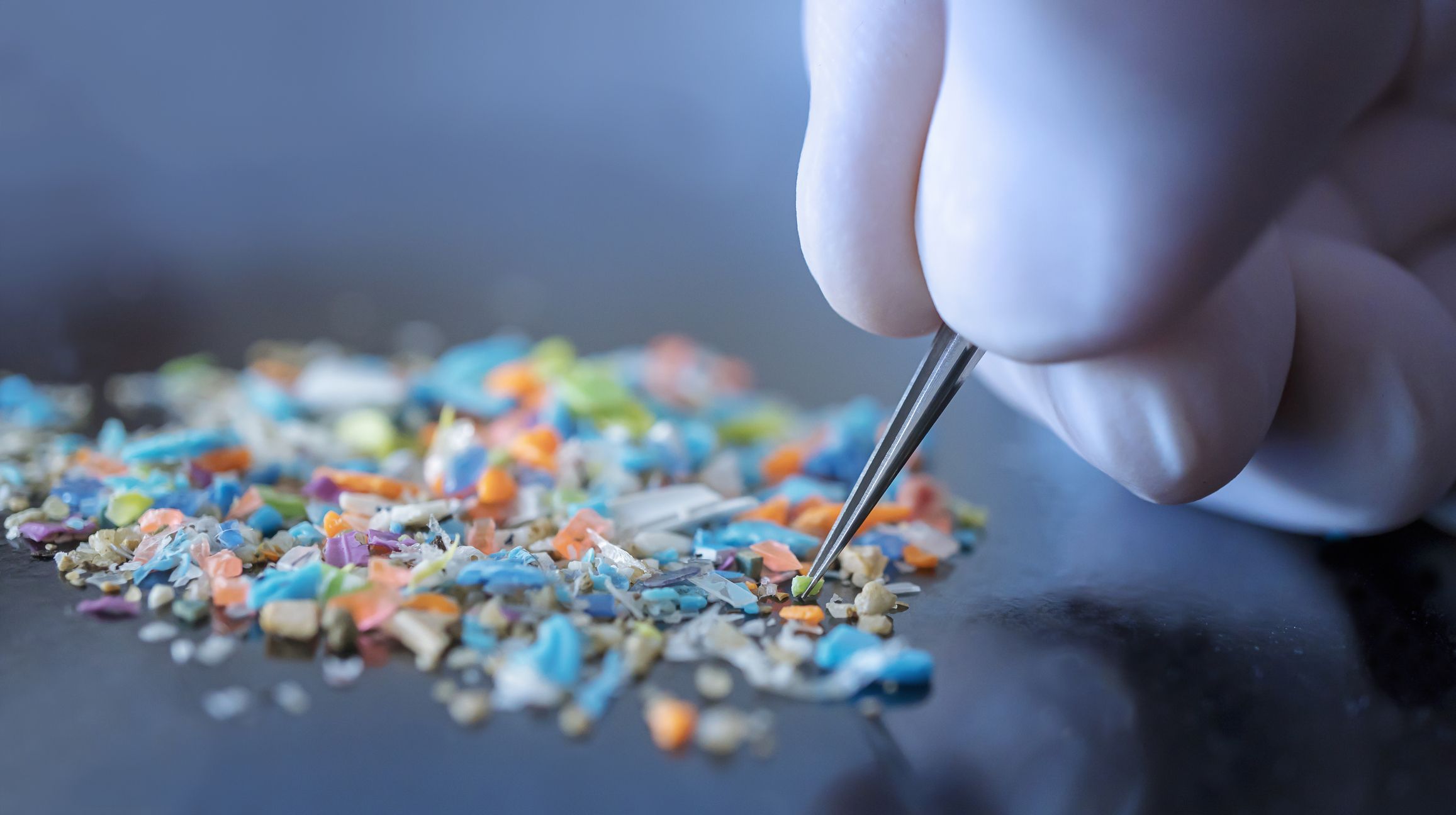 Microplastics Found in Every Human Placenta, Raising Concerns for Fetal Development