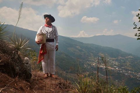 Een jongeman in traditionele werkkleding plukt zaden op de top van de heuvel Macuil