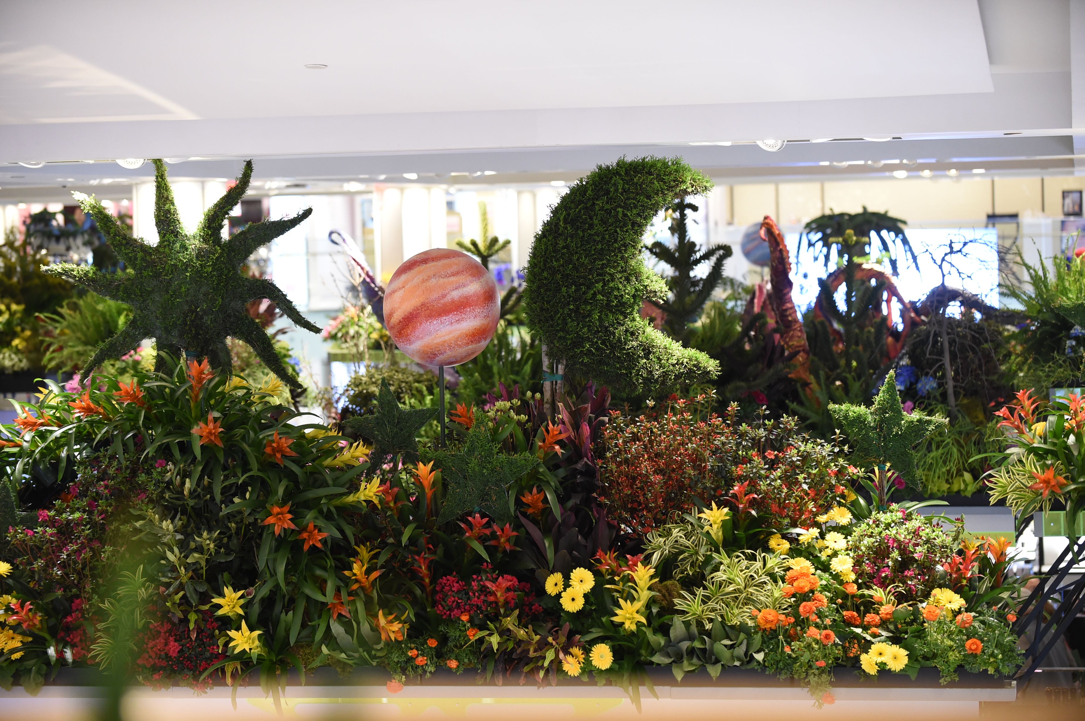 MACY'S PRESENTS JOURNEY TO PARADISIOS FLOWER SHOW, NYC — Average