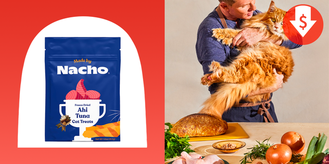 Bobby Flay s Cat Food Line Is Up to 50 Off During Amazon Prime Day