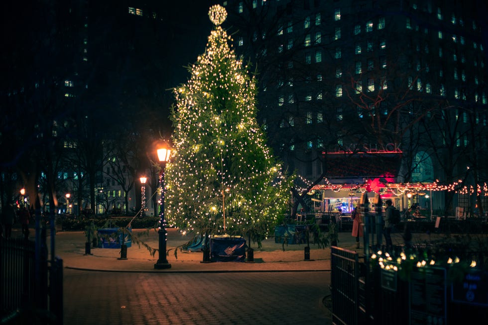madison square park at christmas time