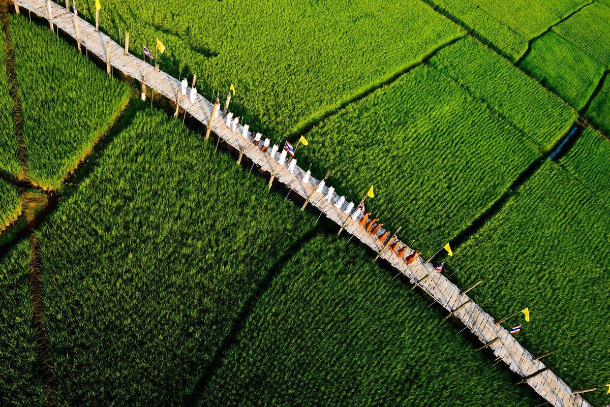 De zeshonderd meter lange houten Su Tong Pebrug over de rijstvelden van Mae Hong Son