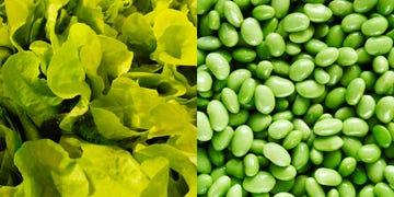 magnesium deficiency
