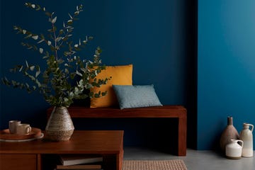 Blue, Room, Interior design, Furniture, Wall, Table, Wallpaper, Houseplant, Living room, Plant, 