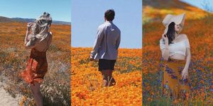 People in nature, Orange, Collage, Adaptation, Photography, Art, Plant, Autumn, Visual arts, Happy, 