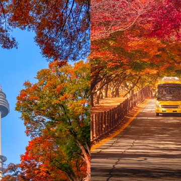 2023年韓國賞楓時間公開！首爾最美賞楓景點推薦，媲美電影場景的秋日限定夢幻美景