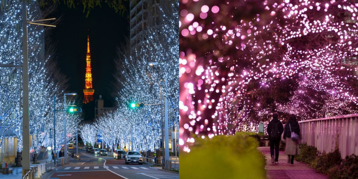 [資訊] 2023東京聖誕節燈海10選 