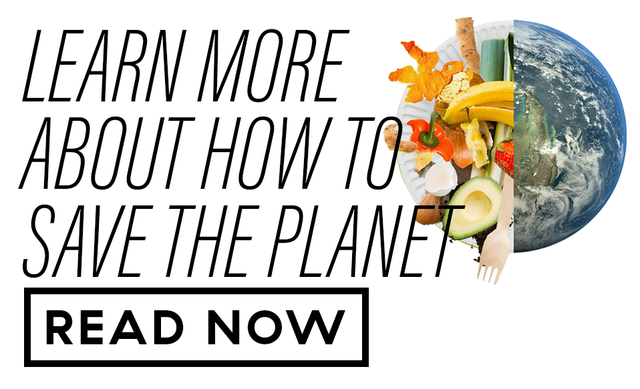 click to go to main piece