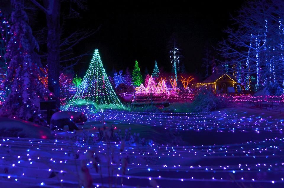 19 of the most epic Christmas displays, events to road trip to in