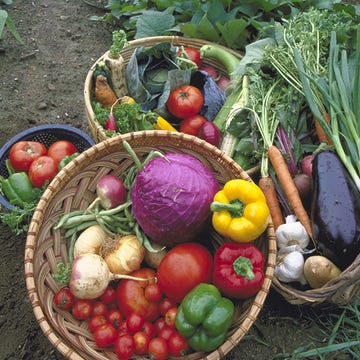Summer Foods slideshow main image Summer Foods slideshow main image