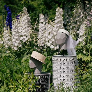 hats surrounded by flowers