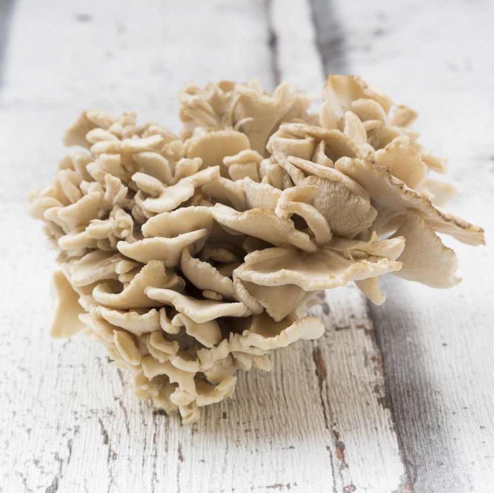 maitake mushroom on wood