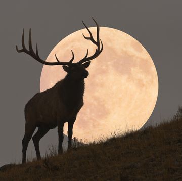 when is full moon october 2021 hunters moon