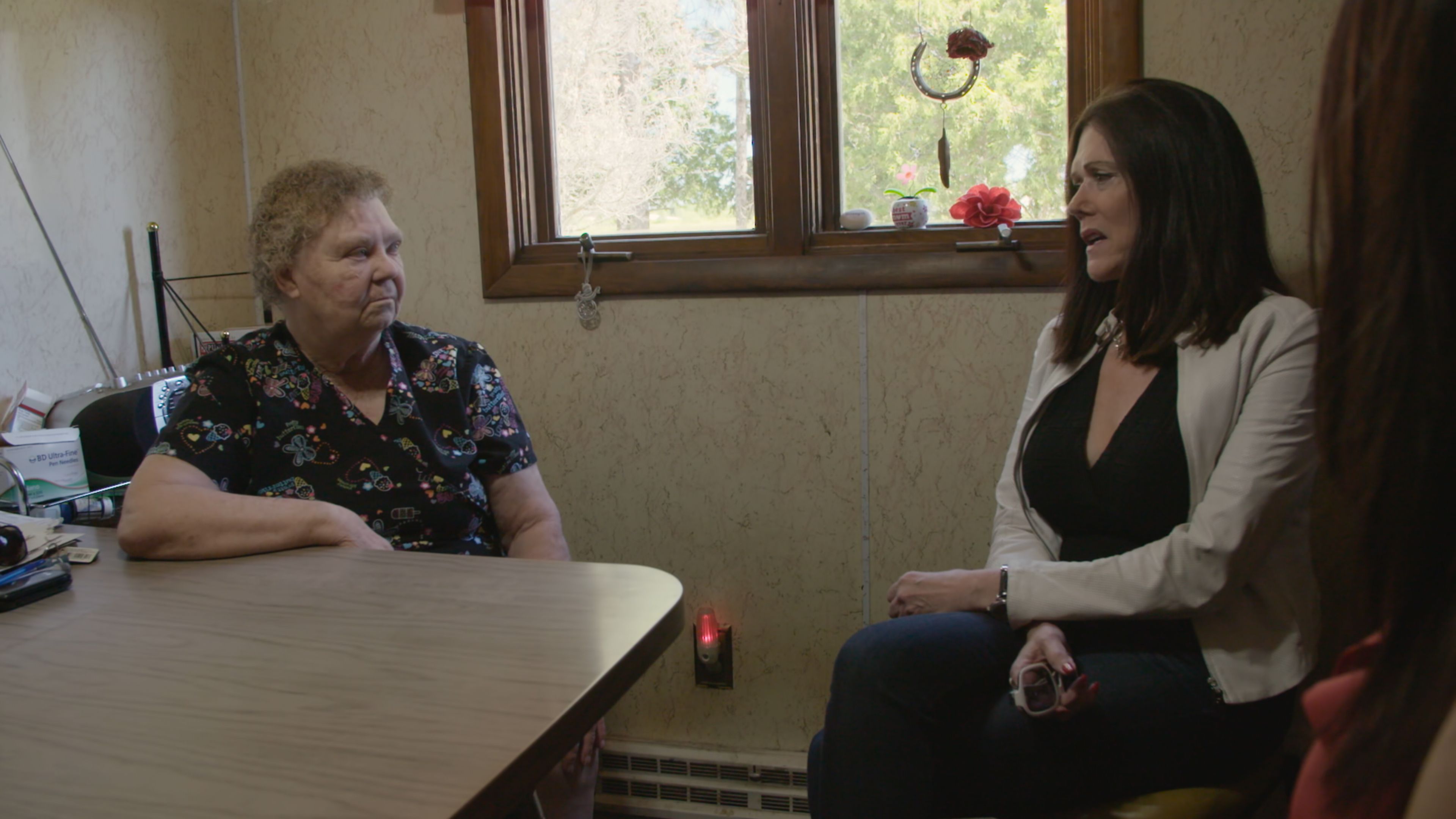 Who Is Steven Avery's Attorney Kathleen Zellner?