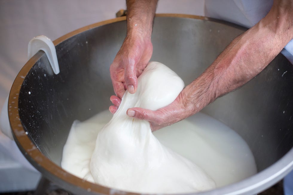 making mozzarella cheese