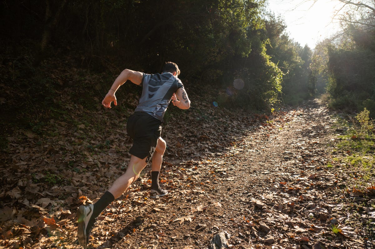 Estas Son Las Zapatillas Salomon Para Correr Por Montaña Más