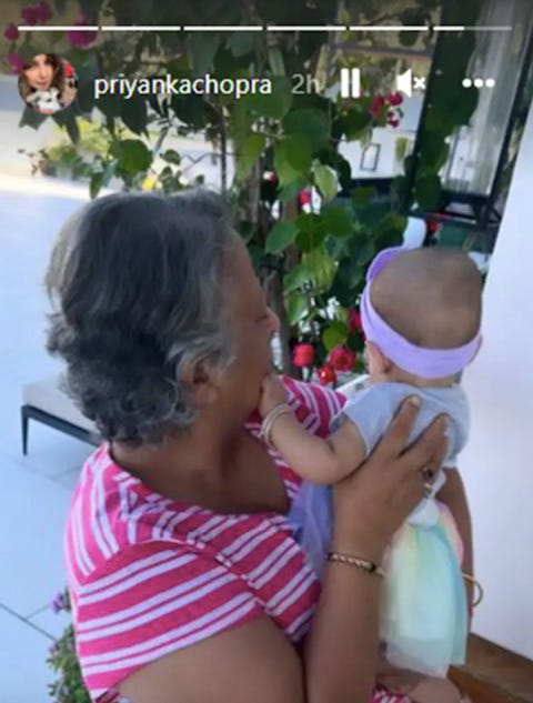 malti marie malti marie