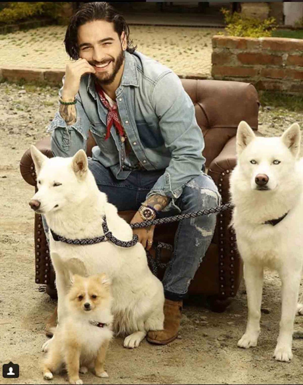 Maluma y los perros