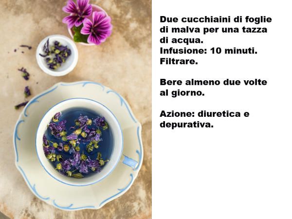 Purple, Violet, Lavender, Petal, Dishware, Annual plant, Superfood, Produce, Recipe, Vitis, 