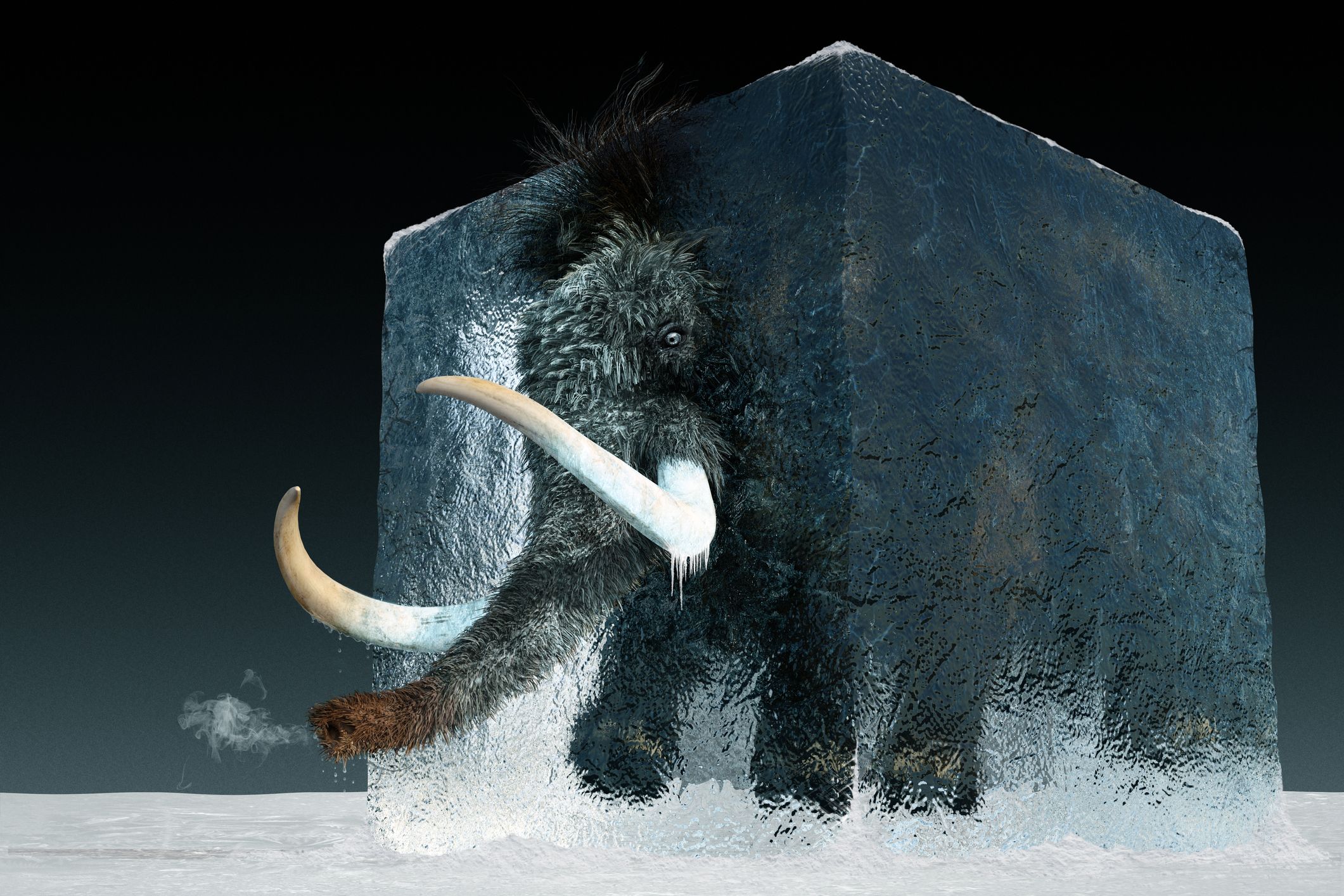 Woolly Mammoth Coming Back 2024 Lynea Rosabel