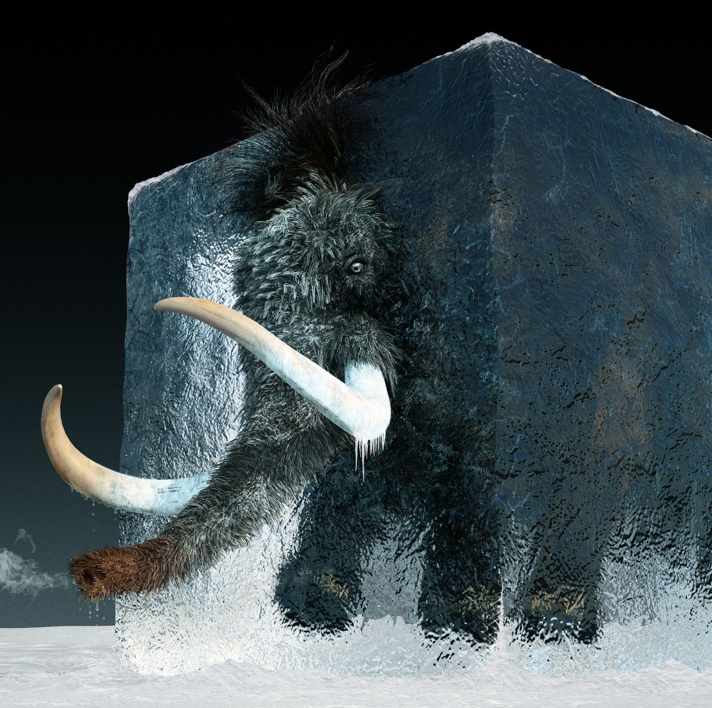 Scientists Are Reincarnating the Woolly Mammoth to Return in 4 Years