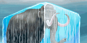 mamut resucitado