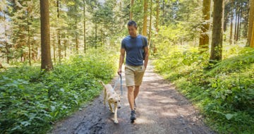 man and his dog walking on a forest path