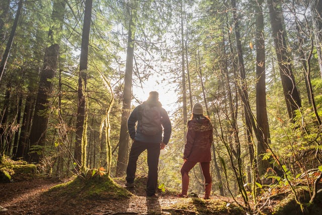 Forest bathing