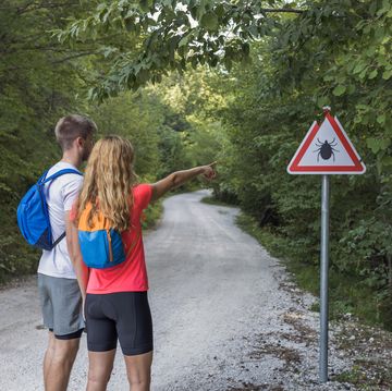 zecche montagna come non prenderle
