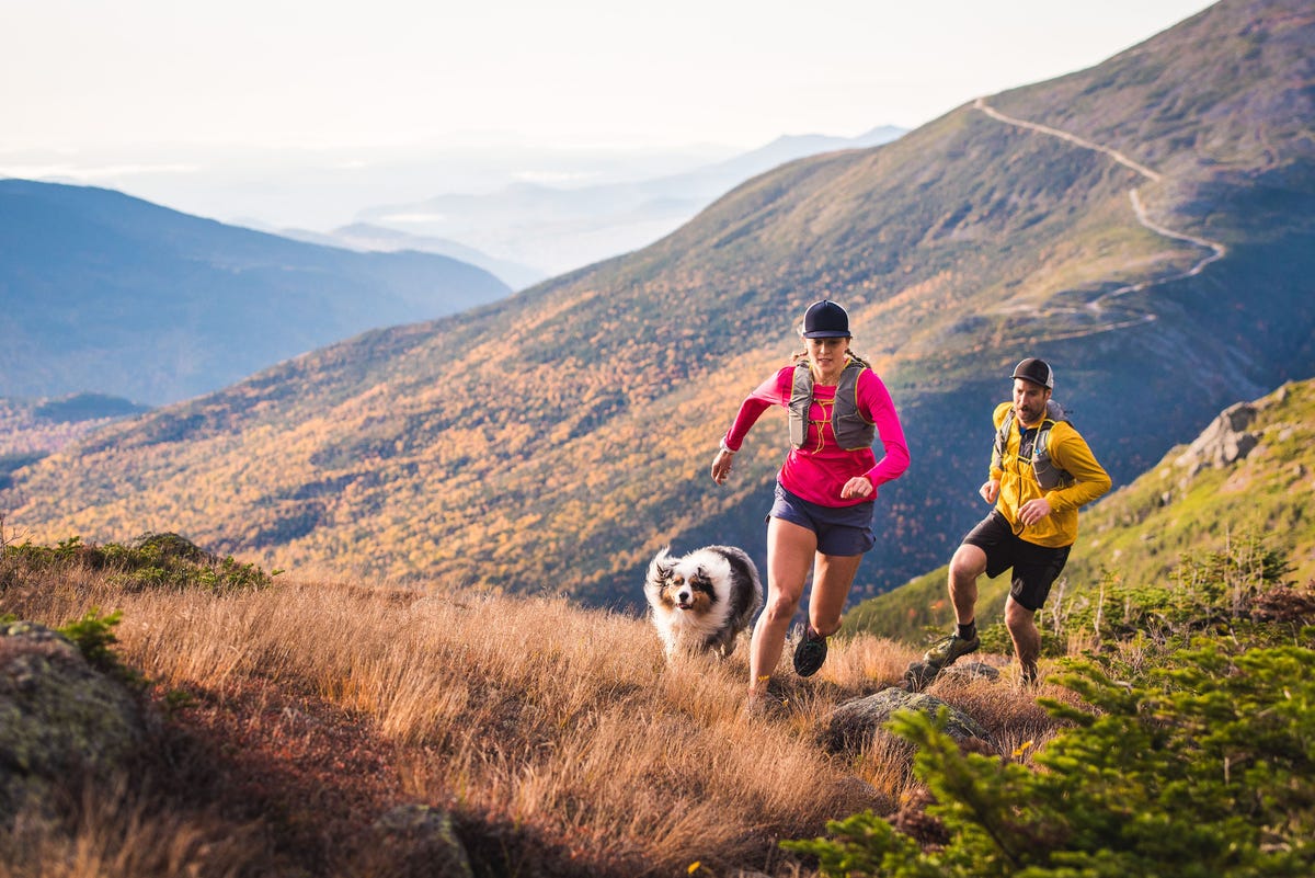 You Can Now Log Strava Activities with Your Dog