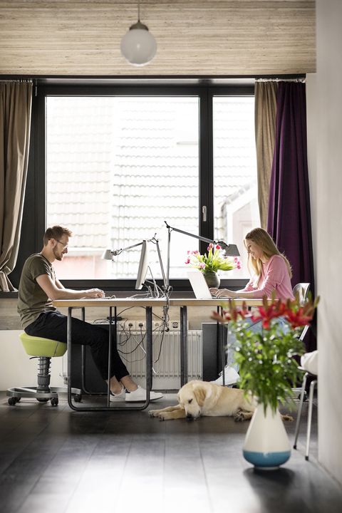 man and woman with dog working at desk at home