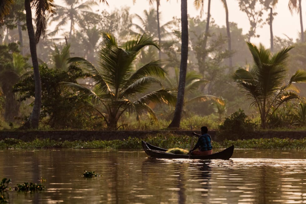 Man canoeing on tropical river