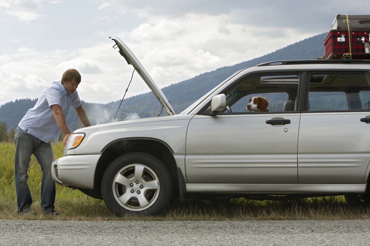 Man checking engine of sports utility vehicle at roadside, side view, spaniel at front window